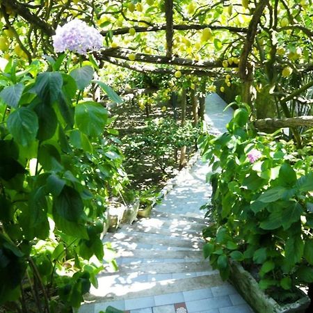 Il Rifugio Di Elena Villa Maiori Ngoại thất bức ảnh