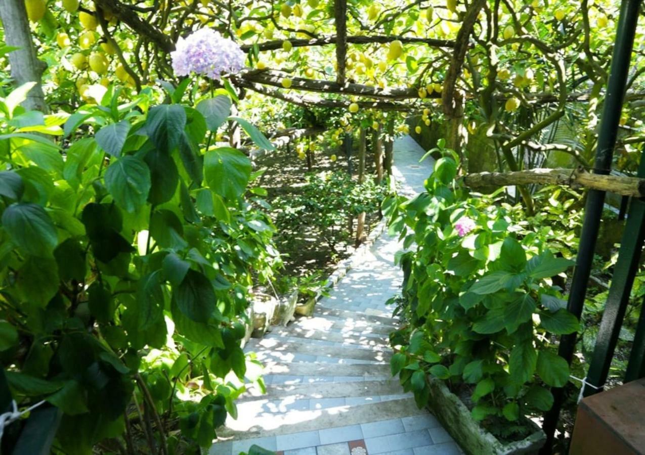 Il Rifugio Di Elena Villa Maiori Ngoại thất bức ảnh